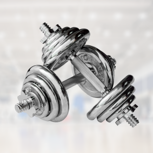Dumbbell Bar With Locks 30CM