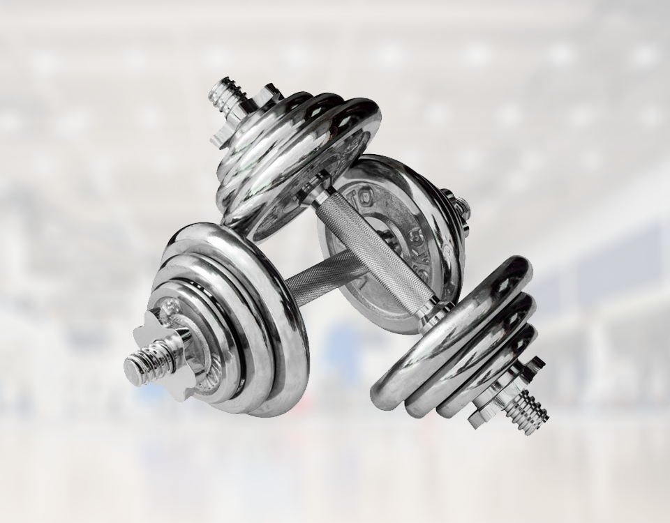Dumbbell Bar With Locks 30CM