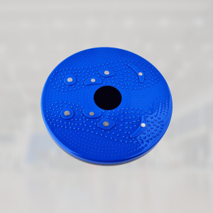 Waist Twister Disc