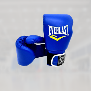 everlast fighting gloves
