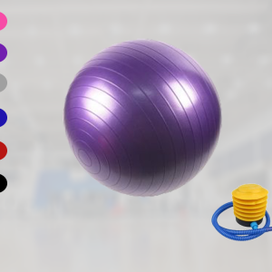 Balance Gym Ball Exercises+Air Pump 75CM