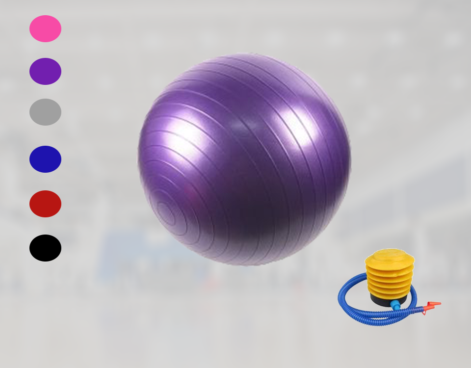 Balance Gym Ball Exercises+Air Pump 75CM
